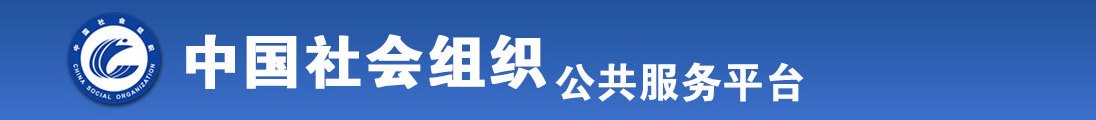 日屌视频全国社会组织信息查询